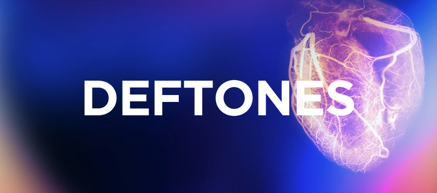 Deftones founding bassist Chi Cheng passes away