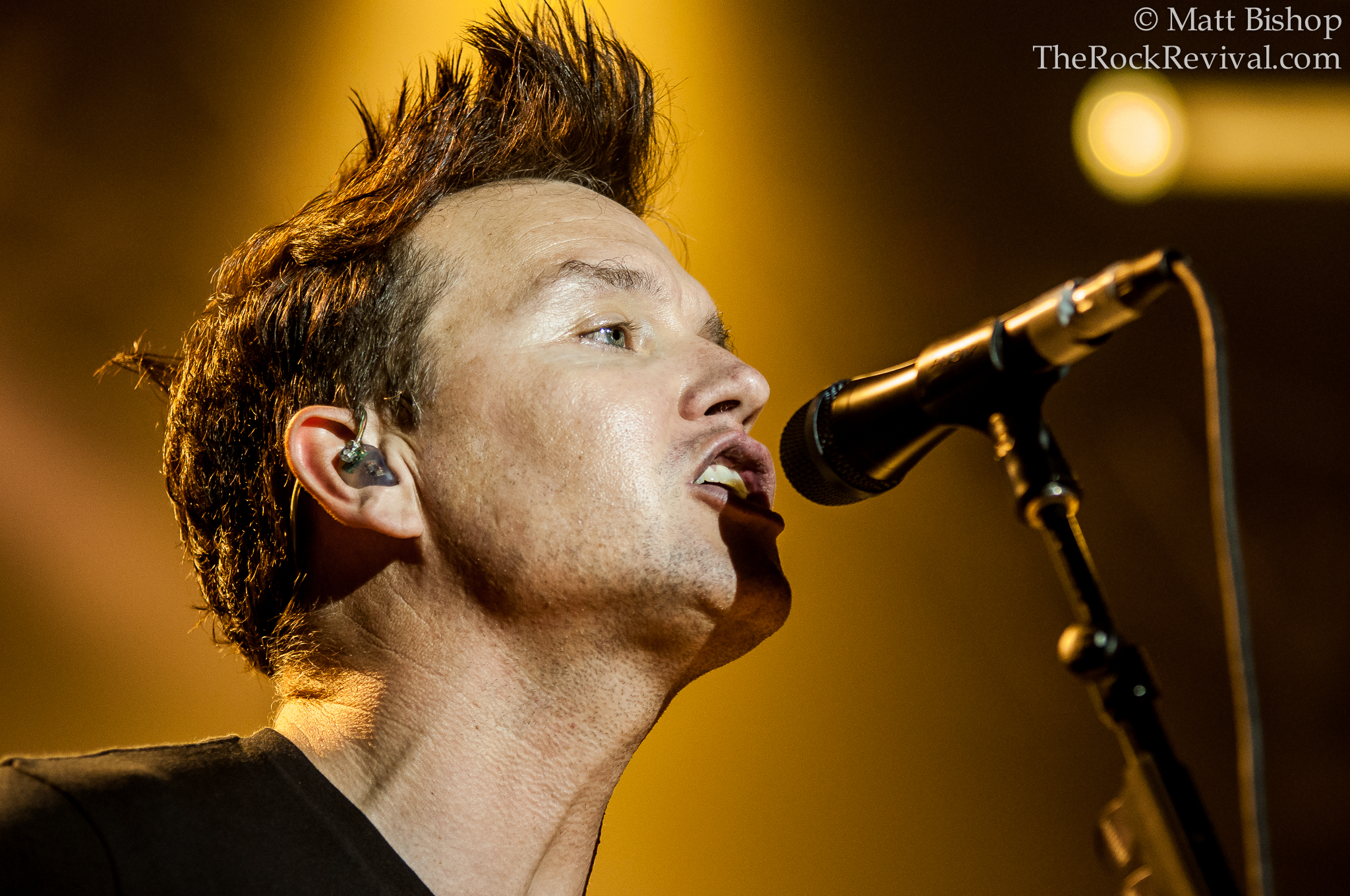 BLINK-182 – Live Photo Gallery