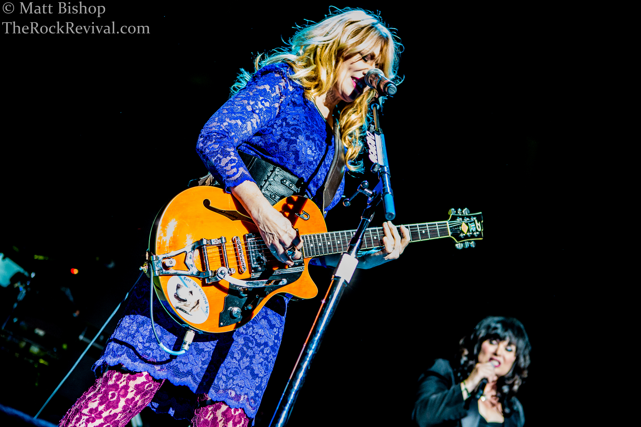 HEART – Live Photo Gallery