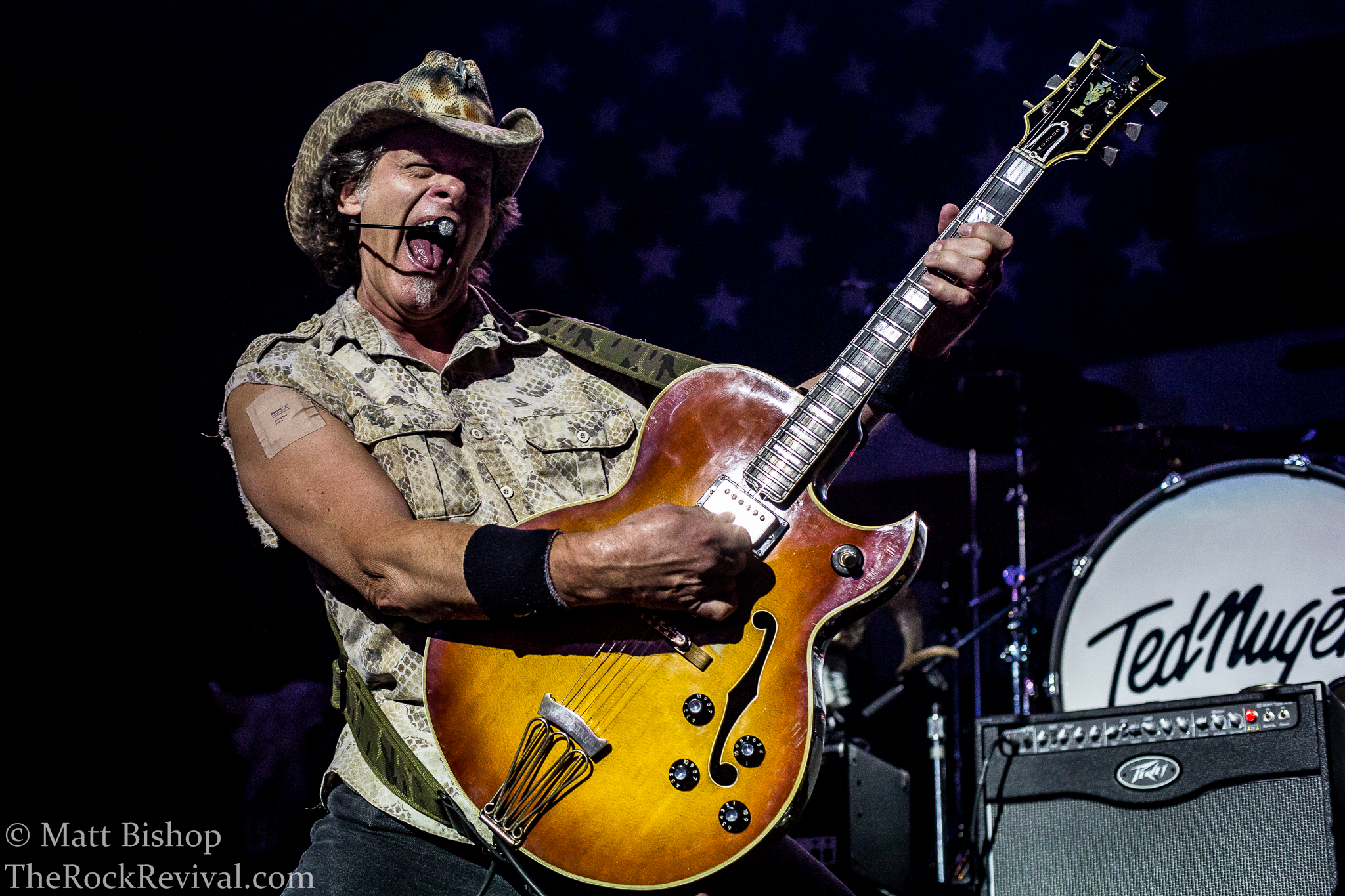 TED NUGENT – Live Photo Gallery