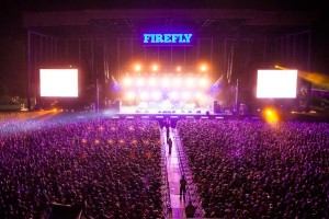 Firefly crowd